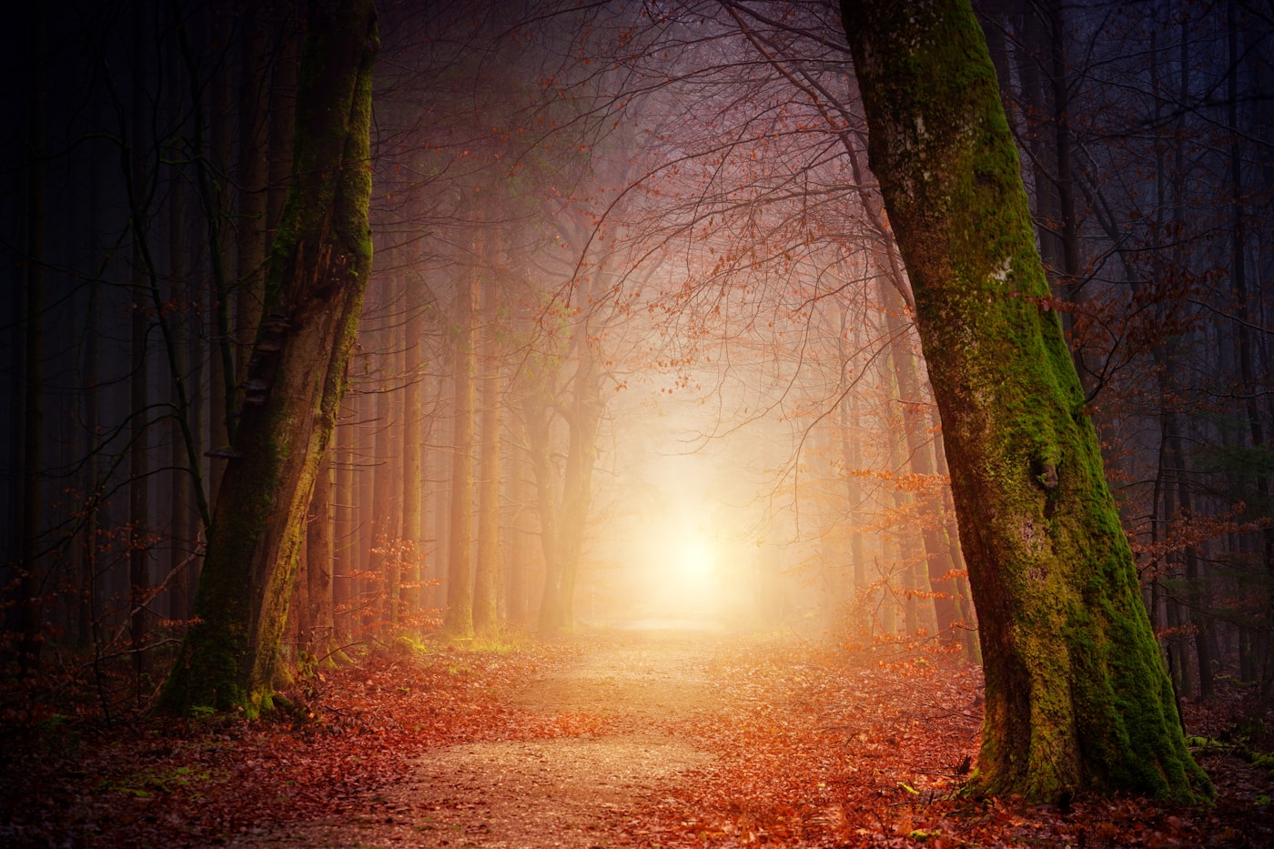 Tunnel of light representing the between-lives state described in regression sessions